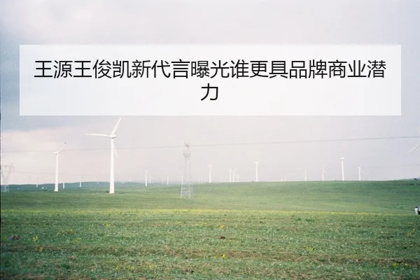 王源王俊凯新代言曝光谁更具品牌商业潜力